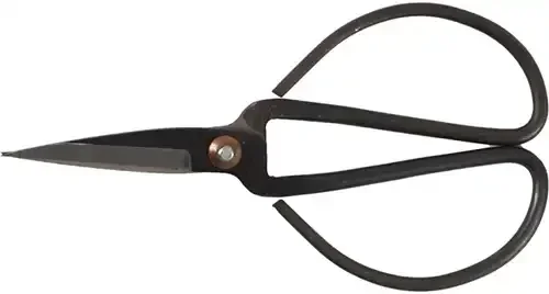 Schaar met groot oog