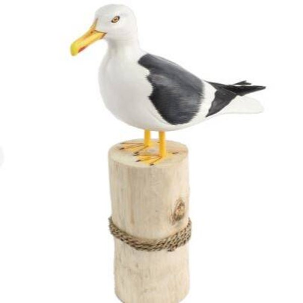 Meeuw hout op paal groot