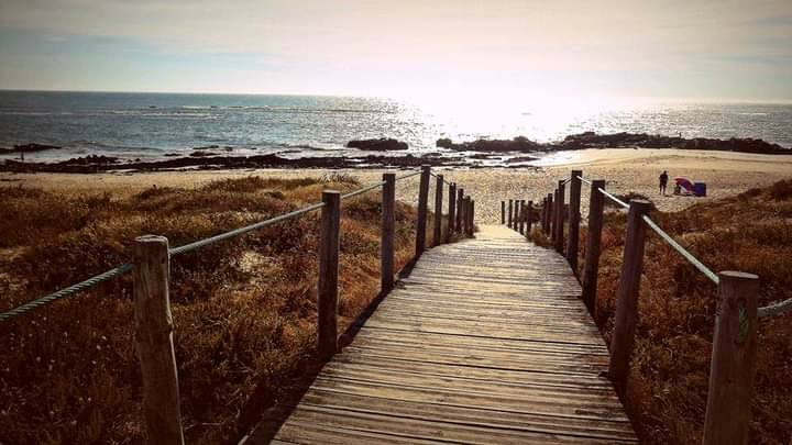 Photography by Sílvia dos Santos