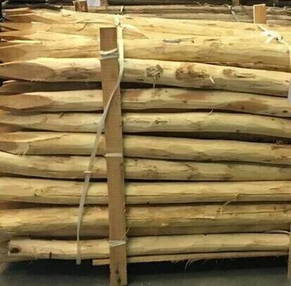 acacia/robinia dia 16/18 Lengte 2.50m