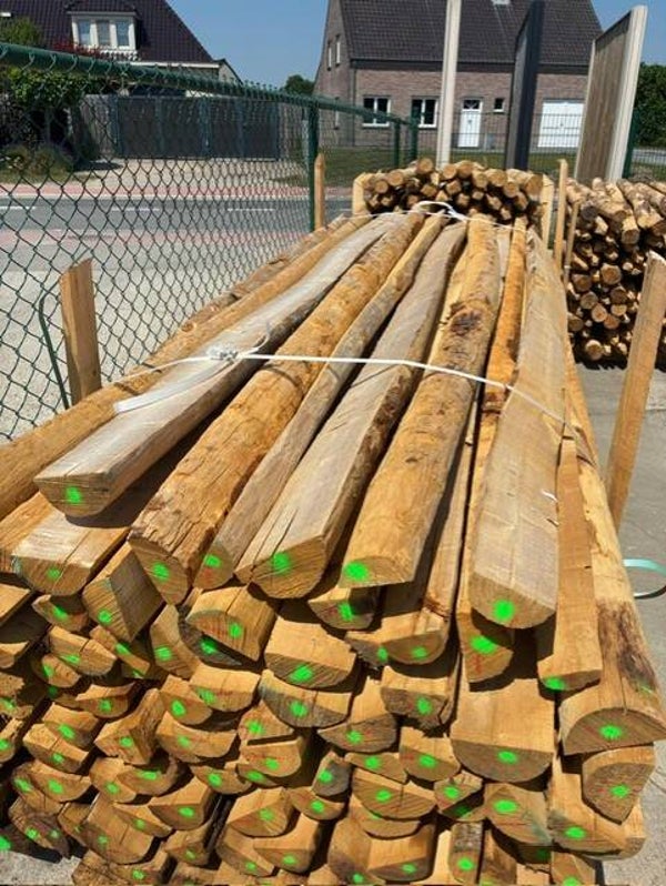 Halve kastanje paal dia 10/12 lengte 3.00M