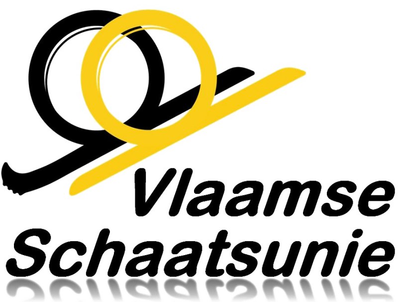Vlaamse schaatsfederatie