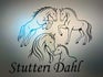 Stutteri Dahl
