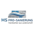 MS Pro-Sanierung