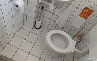 Badkamer kitten
