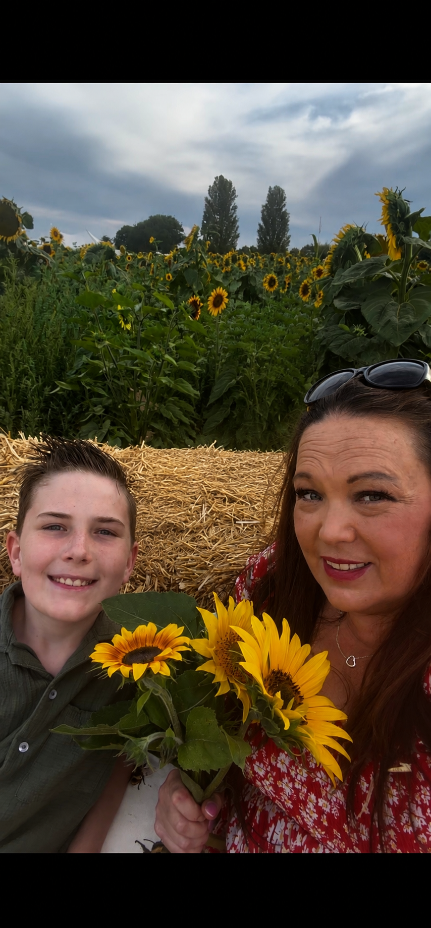     Somerley Fields sunflower field     Sunflower fields near Hampshire     West Sussex sunflower felids      PYO sunflowers West Sussex     Best sunflower fields near Hampshire west Sussex      Pick your own sunflowers West Sussex review     Saturday Sun
