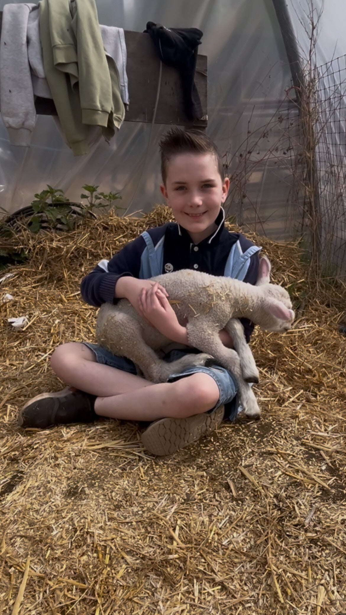 Westlands Farm Shop Wickham Hampshire Winchester newborn lambs spring lambs Hampshire family days out Hampshire 
