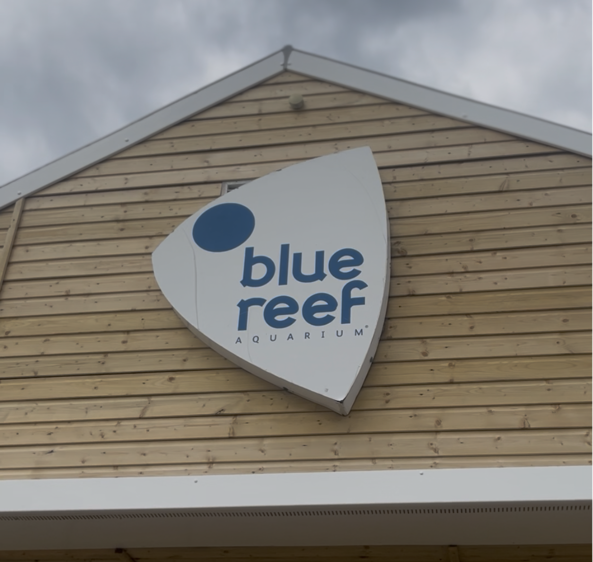 Blue Reef Aquarium Portsmouth     Things to do in Portsmouth with kids     Best aquariums in the South East     Kids days out Portsmouth Southsea seafront attractions Days out in Hampshire     Summer holidays Portsmouth 