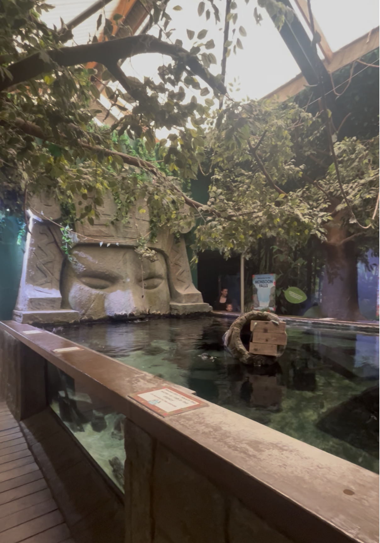 Blue Reef Aquarium Portsmouth     Things to do in Portsmouth with kids     Best aquariums in the South East     Kids days out Portsmouth Southsea seafront attractions Days out in Hampshire     Summer holidays Portsmouth 