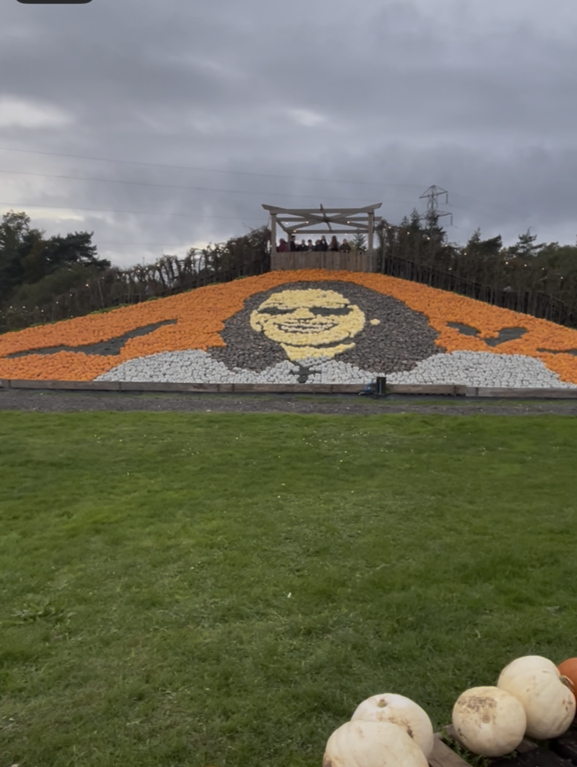 Pumpkin picking Southampton Sunnyfields Farm pumpkin picking Pumpkin picking Hampshire Family days out Hampshire Halloween events Hampshire Things to do in Southampton with kids Ozzy Osbourne pumpkin tribute