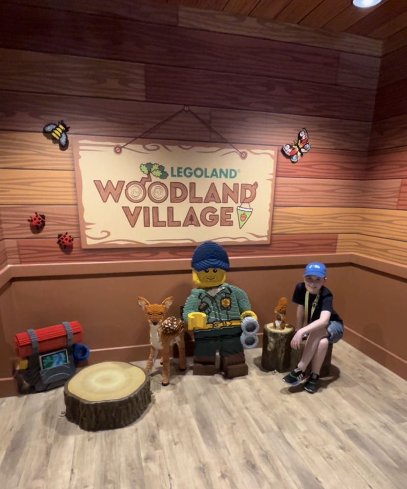 Clubhouse Legoland woodland village 