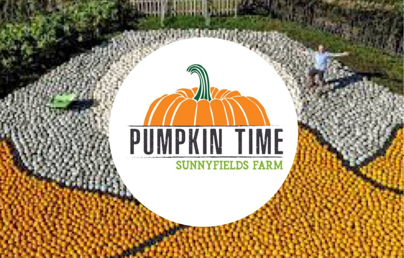 Sunnyfields pumpkin patch Halloween October family days out 2024 half term October 