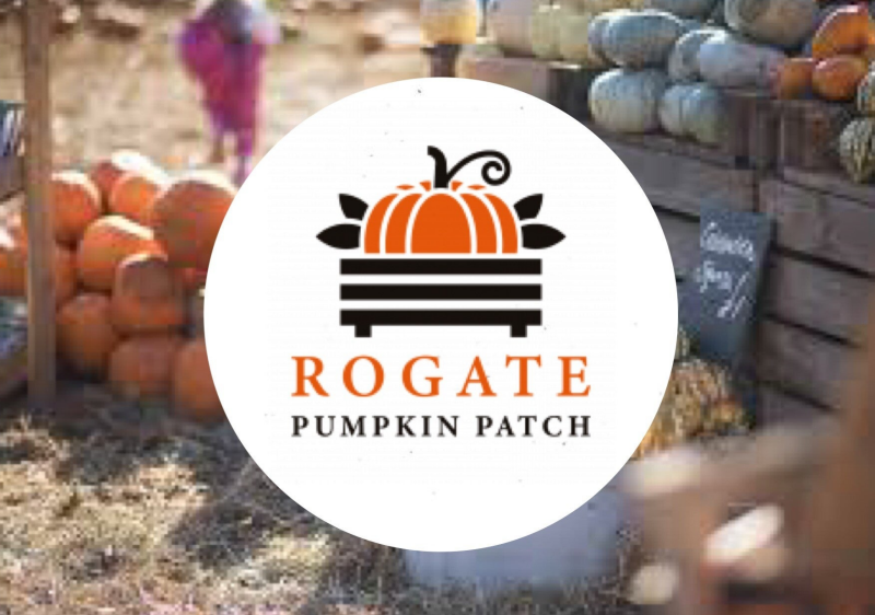 Rogate pumpkin patch Halloween days out family half term October 