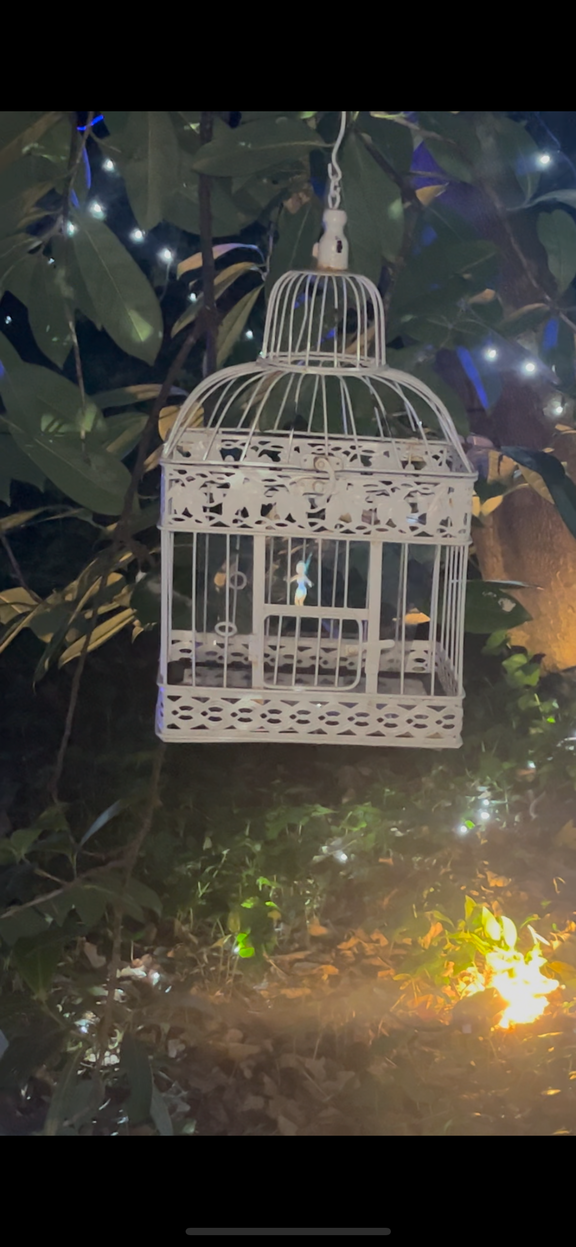 Enlightened Staunton Farm Havant review 2024 festive family days out Hampshire 