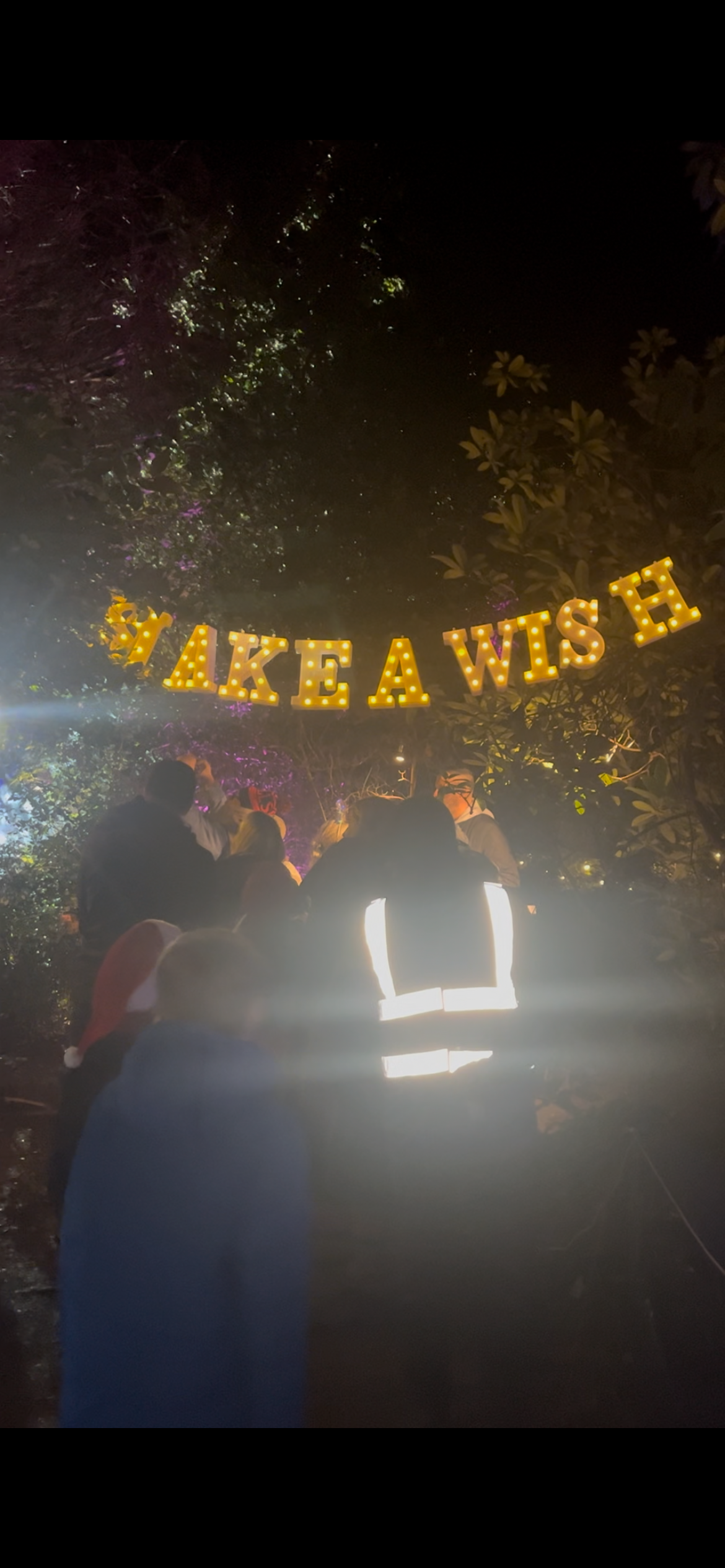 Enlightened Staunton farm Havant review 2024 festive family days out Hampshire make a wish Christmas magic 