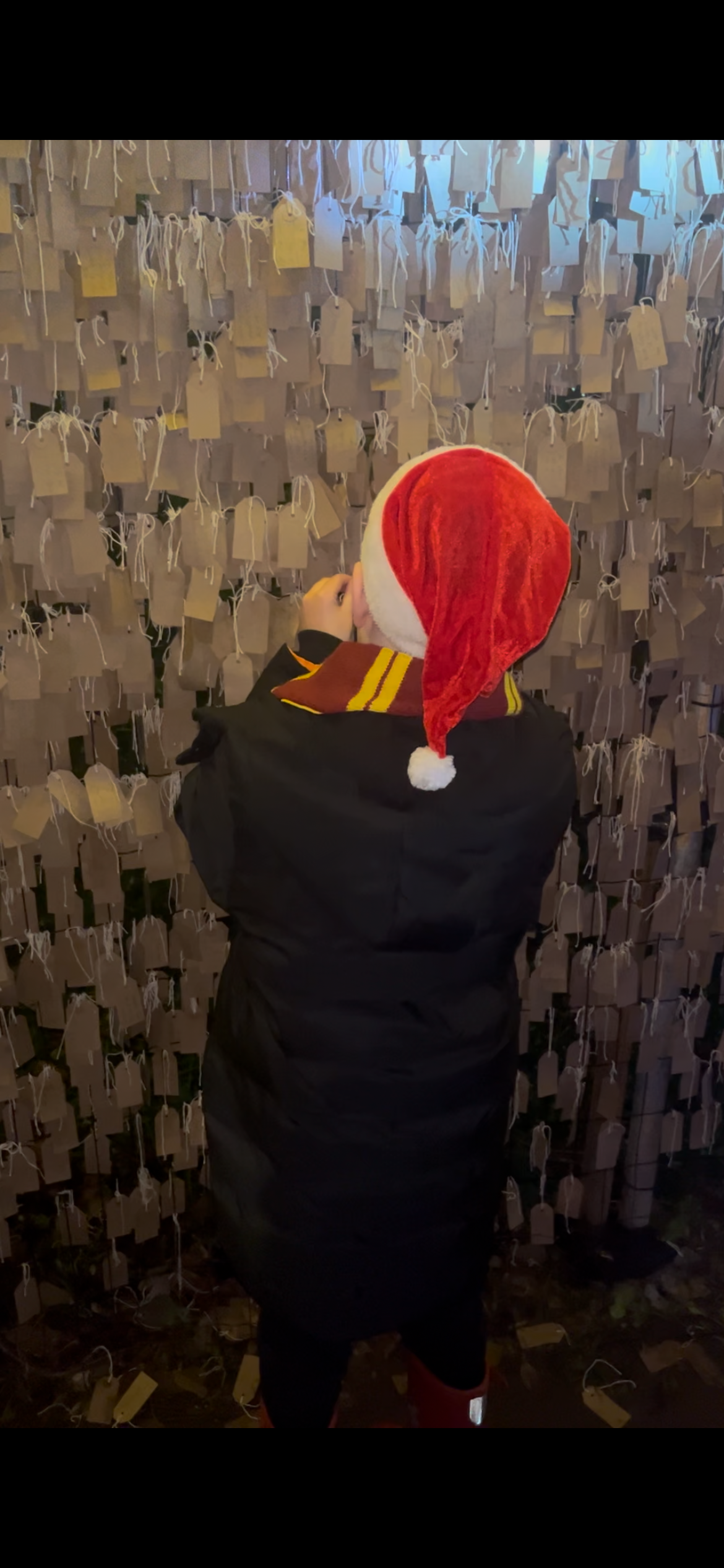 Enlightened Staunton farm Havant review 2024 festive family days out Hampshire 