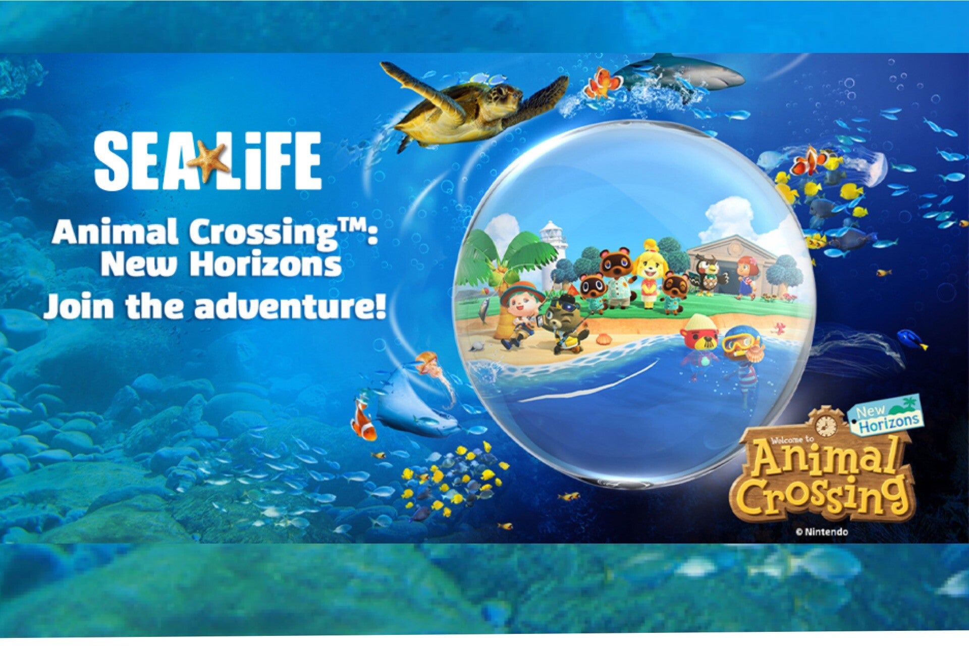 Animal crossing event Sealife UK Nintendo family days out school holidays Brighton London Birmingham Manchester Chessington 