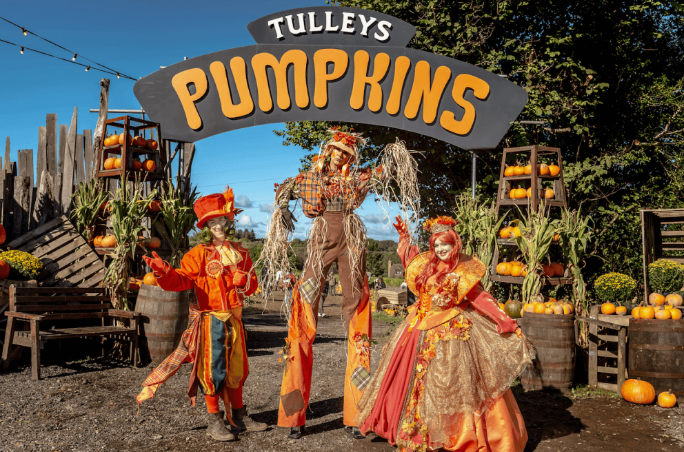 autumn days out in Hampshire     things to do in Hampshire with kids Halloween 2026 Content creator Hampshire West Sussex London     pumpkin picking near Southampton     pumpkin picking  Halloween     October half term activities Hampshire     things to d