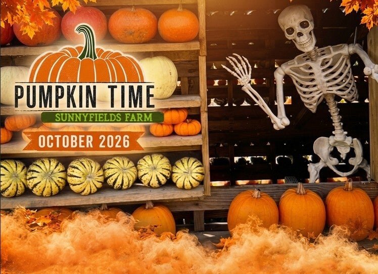 autumn days out in Hampshire     things to do in Hampshire with kids Halloween 2026 Content creator Hampshire West Sussex London     pumpkin picking near Southampton     pumpkin picking  Halloween     October half term activities Hampshire     things to d