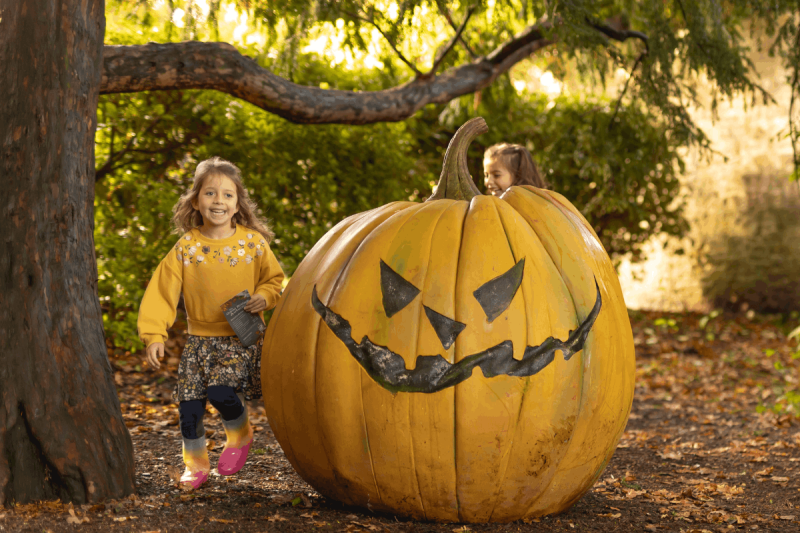 Halloween UK · Longleat · Longleat Safari Park · Halloween with Kids · Family Days Out · Wiltshire Days Out · October Half Term · Halloween Events · Spooky Days Out · Family Activities · Safari Park · Things To Do With Kids Longleat Halloween 2026 Hallowe