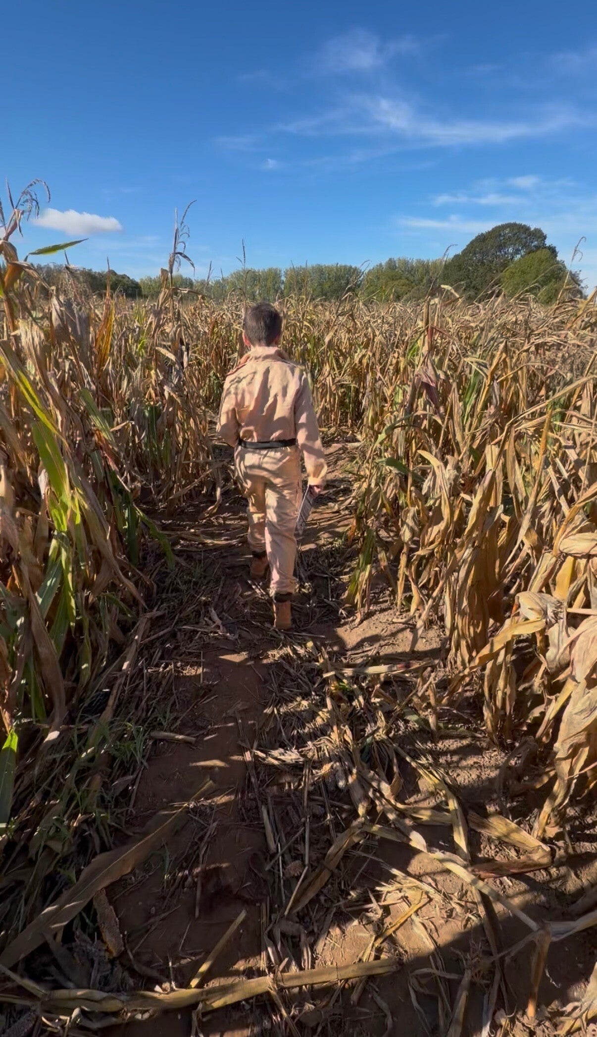     Witchville at Picking Patch review     Picking Patch Halloween pumpkin patch    Picking Patch Fordingbridge Witchville Hampshire Halloween activities Hampshire things to do in Hampshire with kids things to do in Hampshire this Halloween  October half 