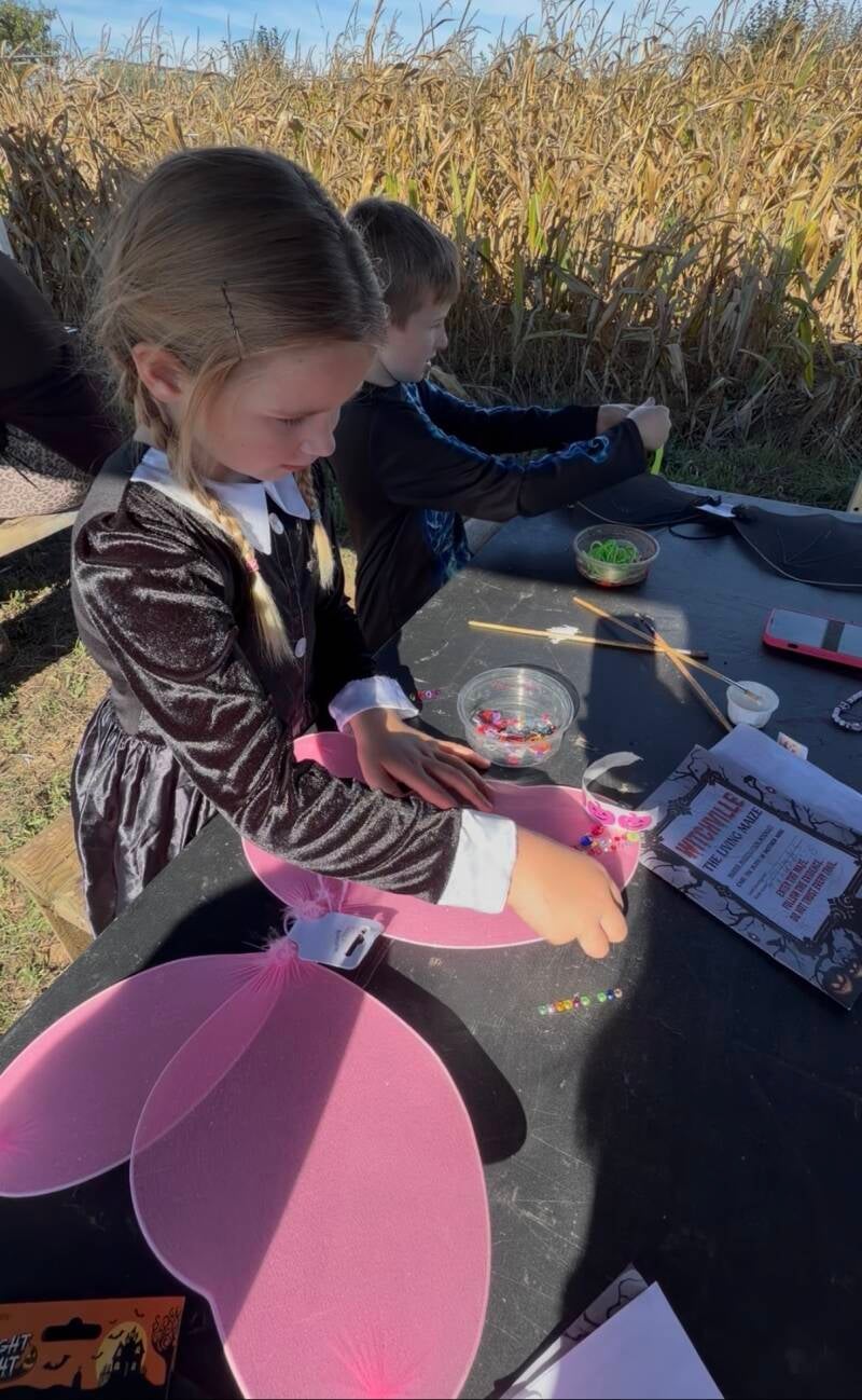     Witchville at Picking Patch review     Picking Patch Halloween pumpkin patch    Picking Patch Fordingbridge Witchville Hampshire Halloween activities Hampshire things to do in Hampshire with kids things to do in Hampshire this Halloween  October half 