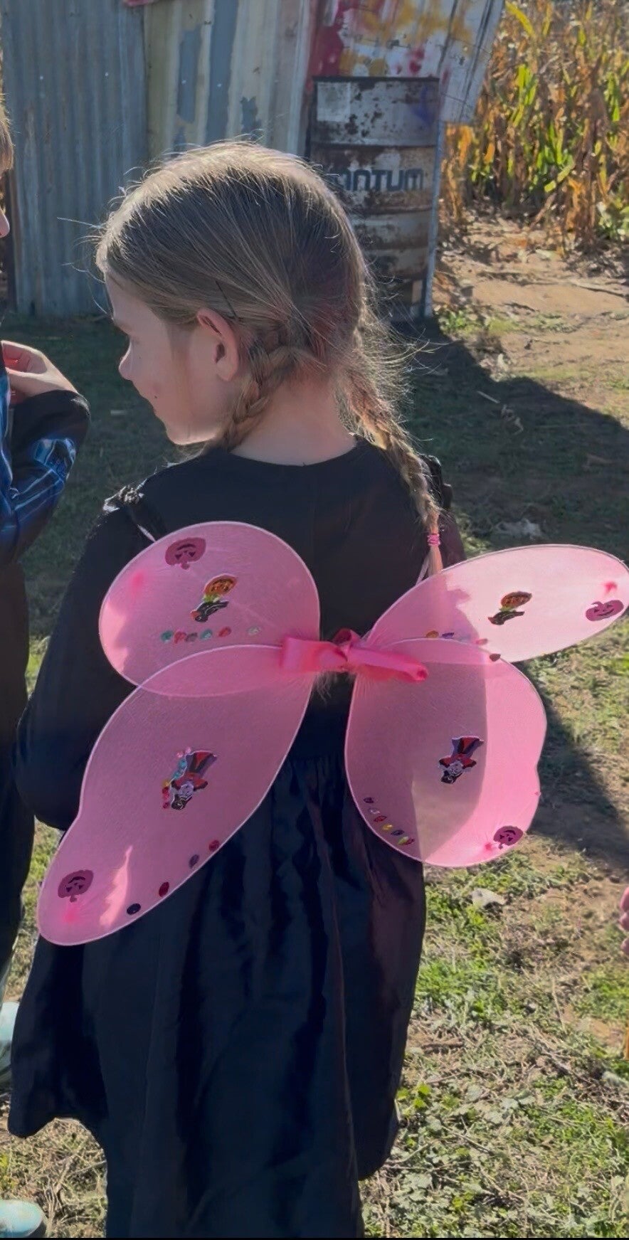     Witchville at Picking Patch review     Picking Patch Halloween pumpkin patch    Picking Patch Fordingbridge Witchville Hampshire Halloween activities Hampshire things to do in Hampshire with kids things to do in Hampshire this Halloween  October half 