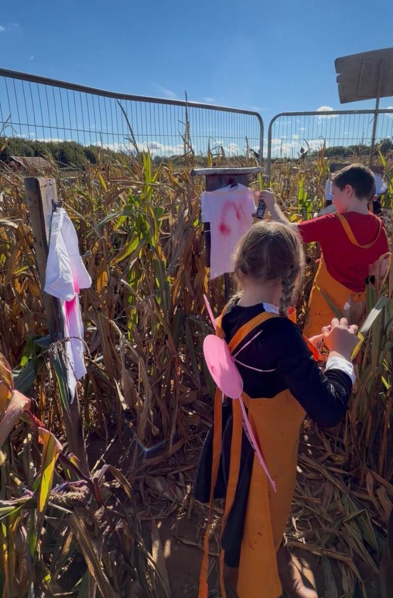     Witchville at Picking Patch review     Picking Patch Halloween pumpkin patch    Picking Patch Fordingbridge Witchville Hampshire Halloween activities Hampshire things to do in Hampshire with kids things to do in Hampshire this Halloween  October half 