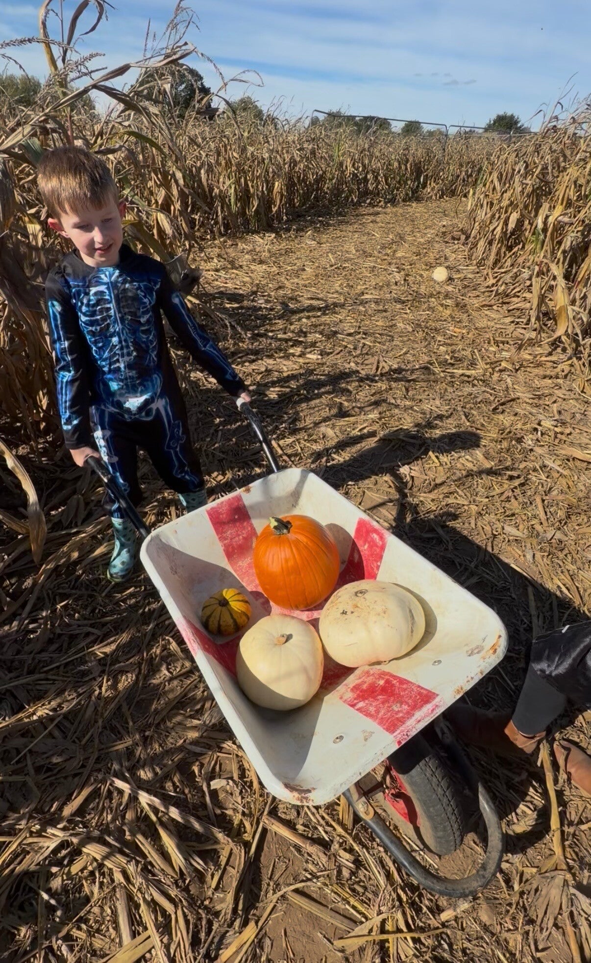    Witchville at Picking Patch review     Picking Patch Halloween pumpkin patch    Picking Patch Fordingbridge Witchville Hampshire Halloween activities Hampshire things to do in Hampshire with kids things to do in Hampshire this Halloween  October half 