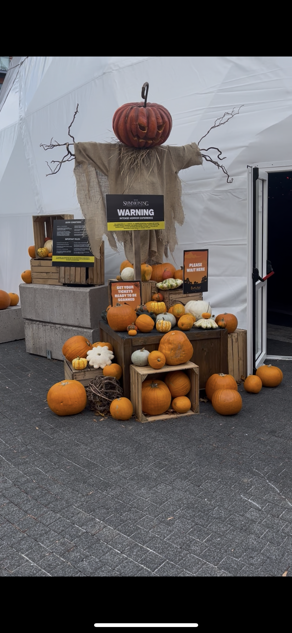 Pumpkinville Gunwharf Quays review, Spook-Ademy show, Pumpkinville Portsmouth, family Halloween events Hampshire, immersive theatre Portsmouth, Fever app review, family days out in Hampshire, Christmasville Gunwharf Quays, things to do in Portsmouth with 