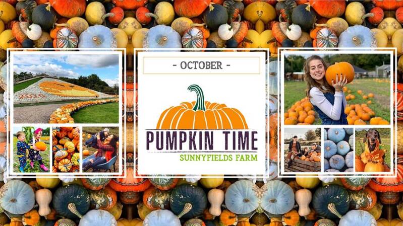 Pumpkin picking Southampton Sunnyfields Farm pumpkin picking Pumpkin picking Hampshire Family days out Hampshire Halloween events Hampshire Things to do in Southampton with kids Ozzy Osbourne pumpkin tribute