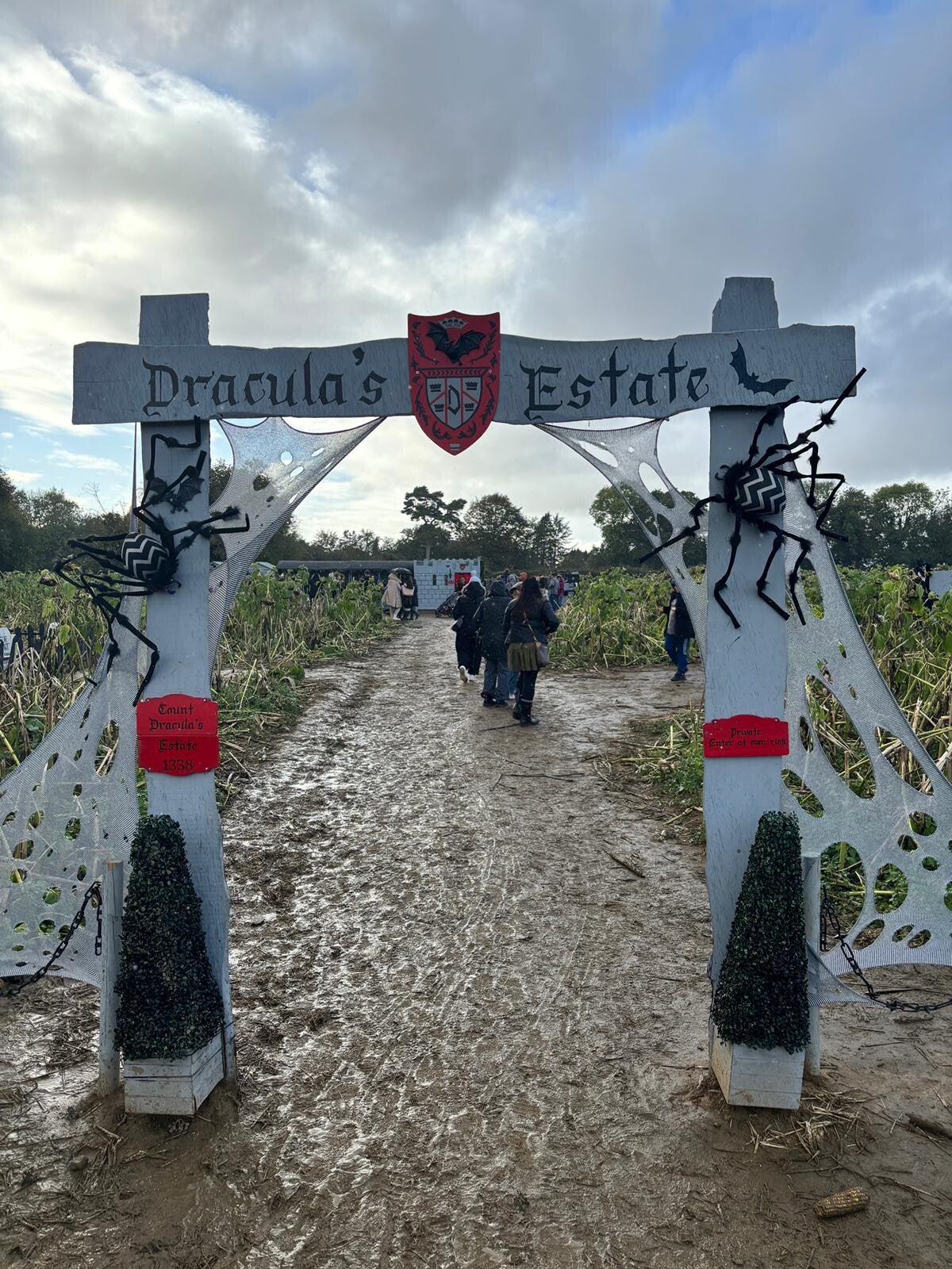Rogate pumpkin patch things to do in Hampshire 