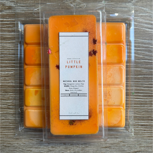LITTLE PUMPKIN MELTS