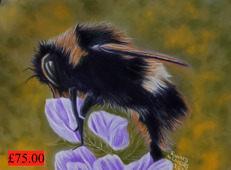 £75   size approx 12x8