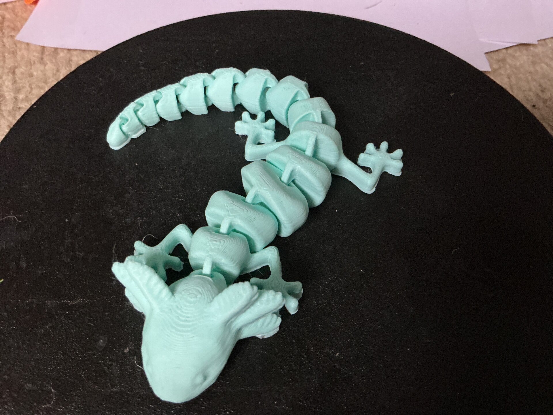 Flexi dragon
