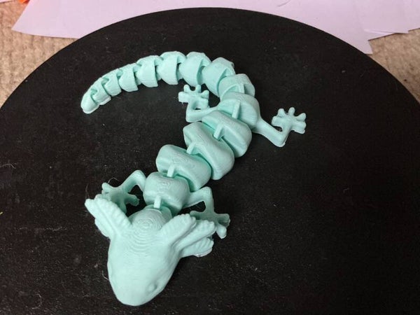 Flexi dragon