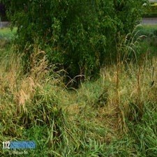 ezy-watermark_02-07-2025_07-43-51-8170pm-standard.jpg