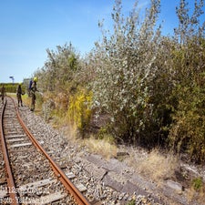 ezy-watermark_08-08-2024_02-48-55-3840pm-standard.jpg
