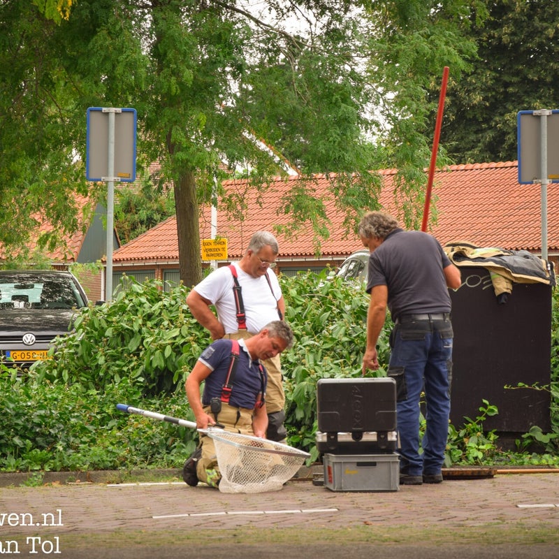 ezy-watermark_16-08-2024_03-42-59-6000pm-standard.jpg