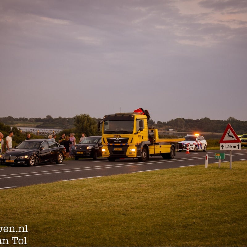 img_8924-standard.jpg