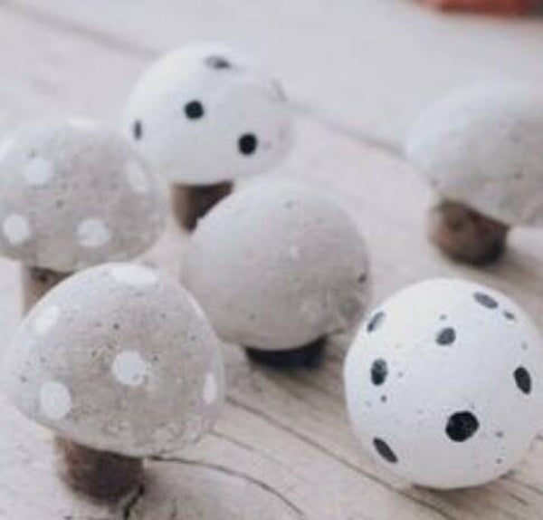 15.10.2020 I 13 Uhr Betonpilze