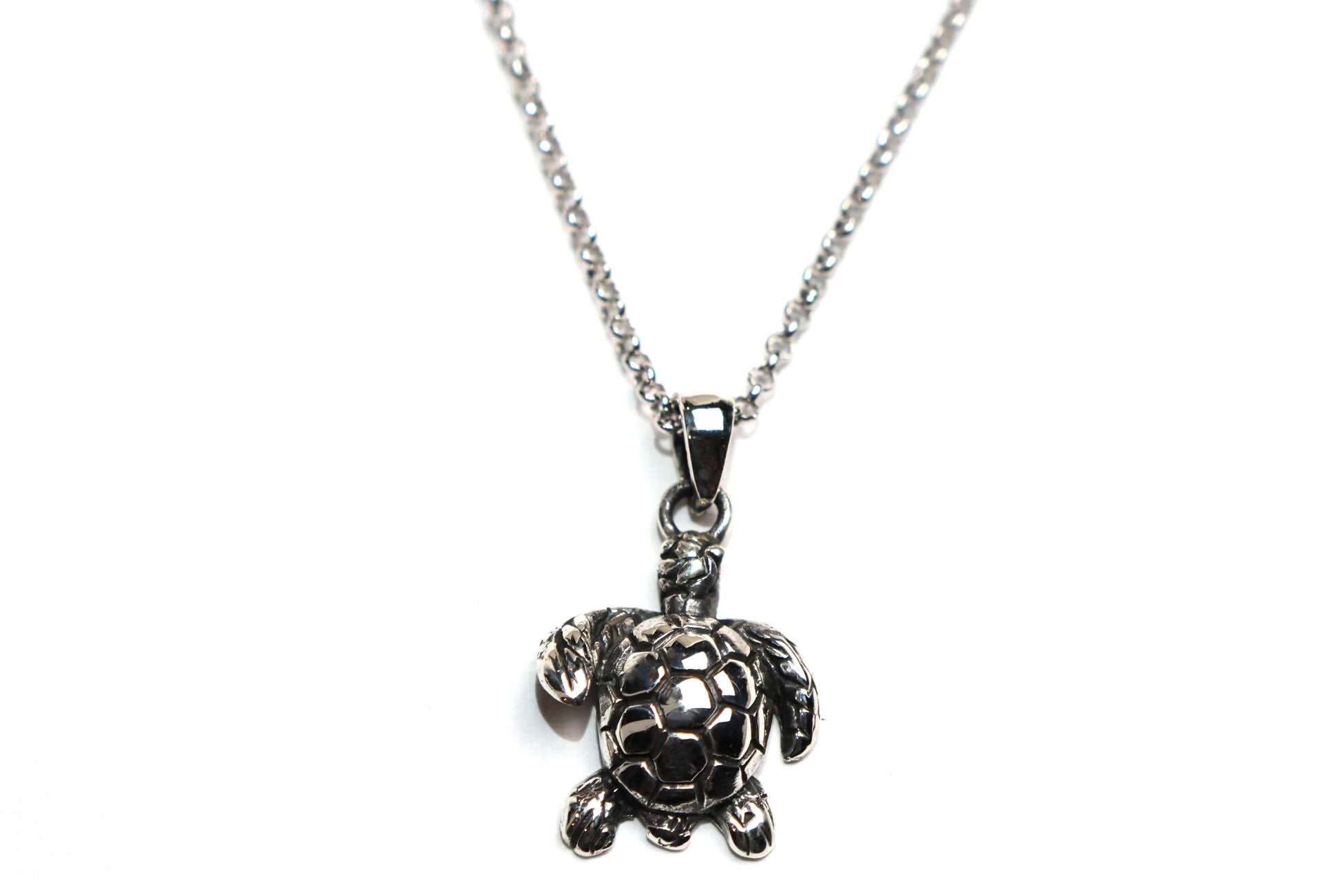 Schildkröte Kette