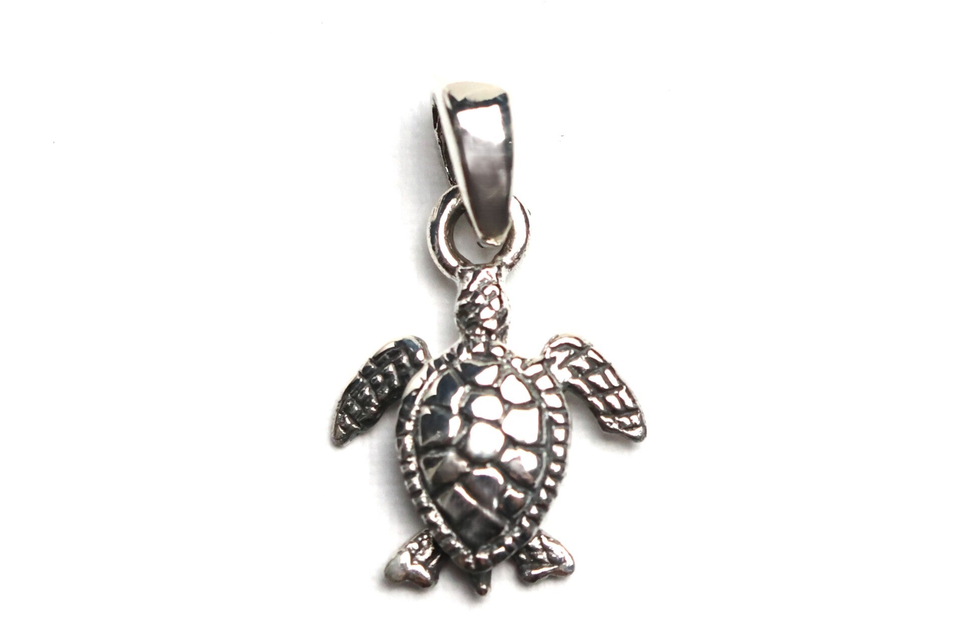 Baby Schildkröte mit Kette