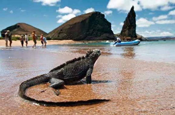 Tortuga Bay Intensivo Premium - 05 dias -04 noches