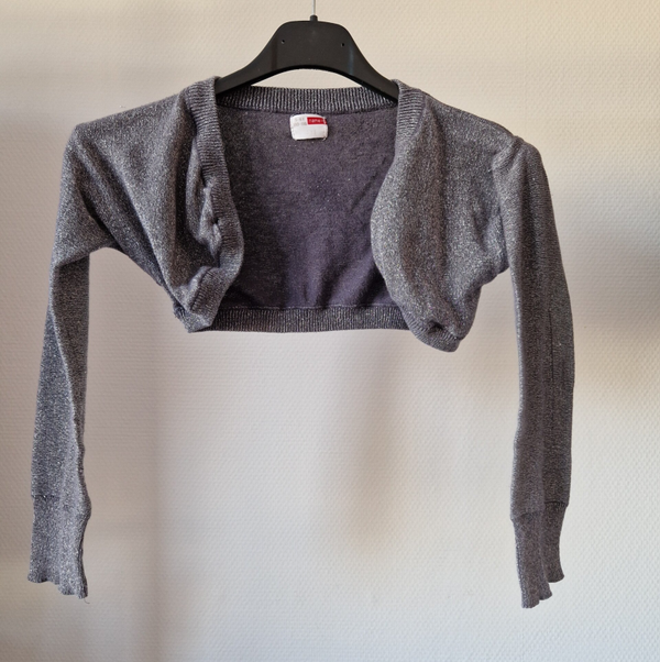 Glitter Vestje Zilver 110-116
