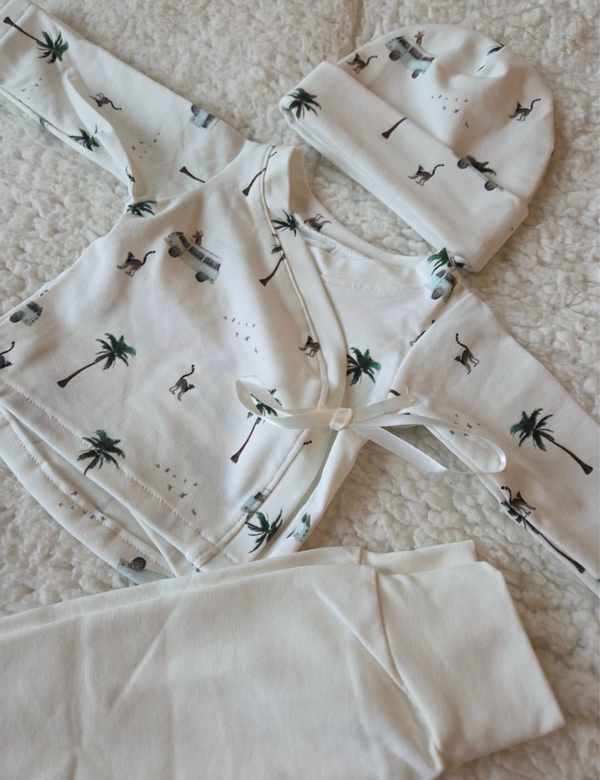 3 delige set palmboompjes prematuur dysmatuur