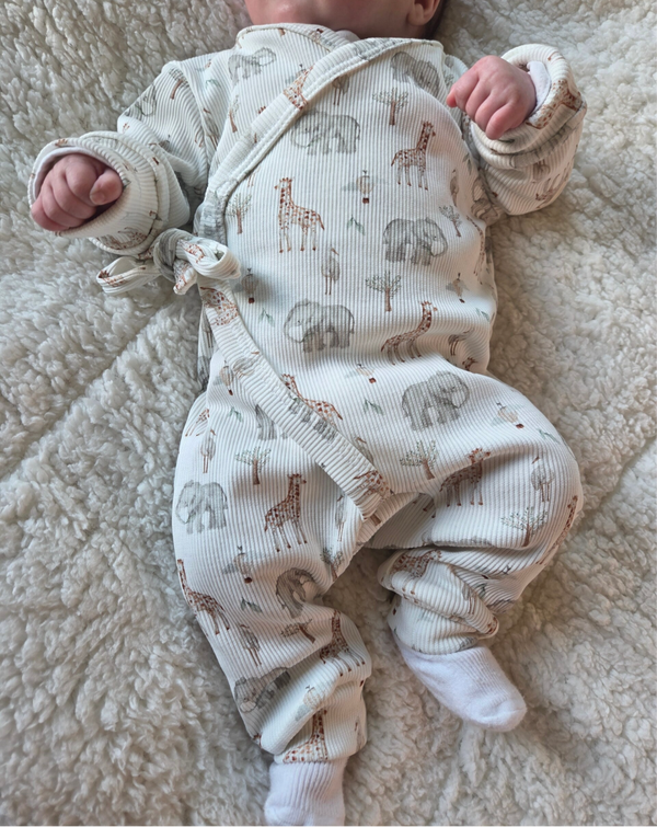 Boxpakje rib overslag diertjes