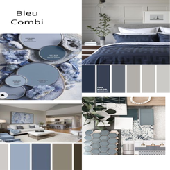 blauwecombis.png