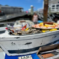 1000029067-standard.jpg