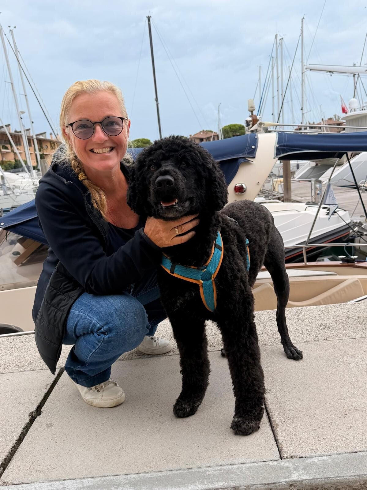 Allergikerfreundlicher Portugiesischer Wasserhunde am Hafen